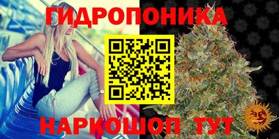 mdpv Краснодар