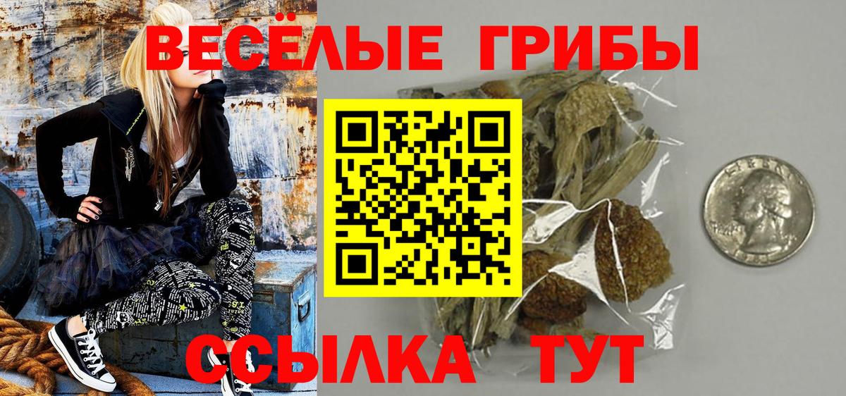 Галлюциногенные грибы мицелий Ишим