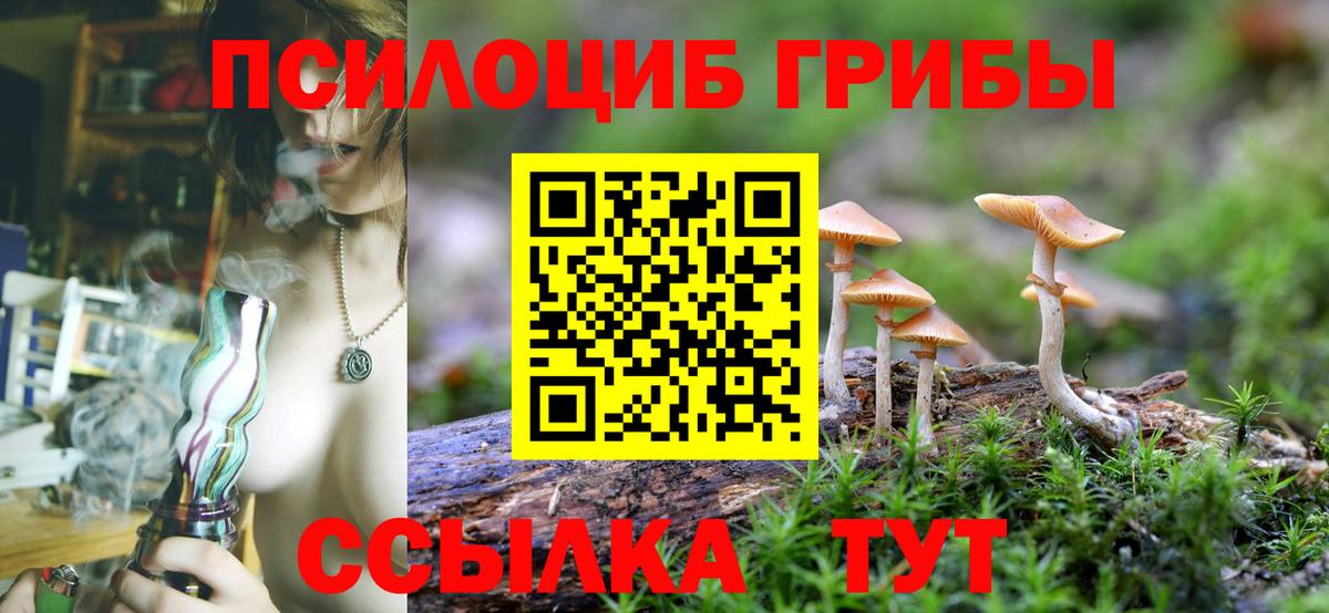 Ишим  Псилоцибиновые грибы мухоморы  где купить   Вход с VPN 